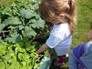 Zahradničíme ve školce